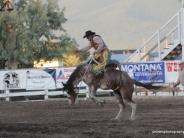 Cowboy riding in the saddle bronc riding competition in the local rodeo