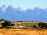 2 red barns with rows of stacks of round hay bales on a hillside with a mountain range in the background 