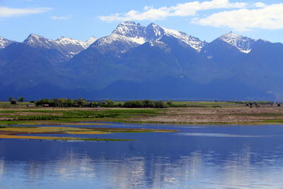 Flathead Lake shore with mountain range in the background 